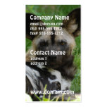 African Wild Dog Photo Business Cards
