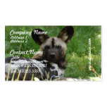 African Wild Dog Photo Business Cards