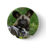African Wild Dog Photo Button
