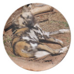 African Wild Dog Dinner Plates