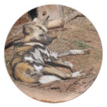 African Wild Dog Party Plates