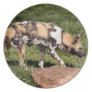 African Wild Dog Dinner Plates