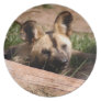 African Wild Dog Plate