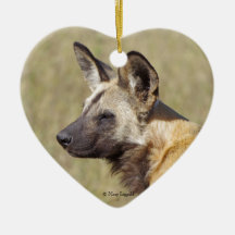 African Wild Dog Portrait Ornament
