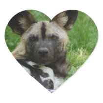 African Wild Dog Stickers