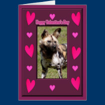 African Wild Dog Valentine Card cards