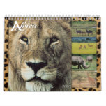 African Wildlife 2011 Wall Calendar