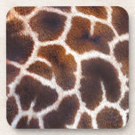 African Wildlife Giraffe Fur Photo Design Beverage Coasters