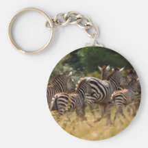 African Zebra cool stuff Key Chain