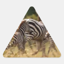 African Zebra cool stuff Triangle Stickers