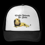 Africankoko Custom US Virgin Islands hats