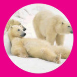 After Dinner Bear Round Sticker