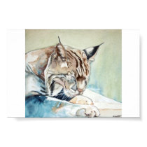 AFter Dinner Washup - Bobcat posters