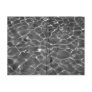 After Hockney - Black & White: Light on water Postcards