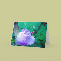 After Rain cards by blumoonart After Rain cards