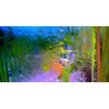 After rain composition print