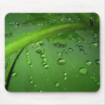 After rain mouse mat