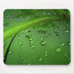 After rain mousepads