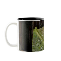 After rain mugs by KLaima After rain mugs