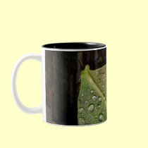 After rain mugs