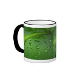 After rain mugs