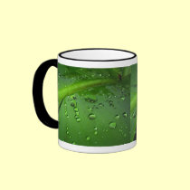 After rain mugs