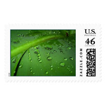 After rain postage by KLaima After rain postage