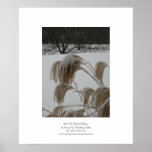 After Snowfall Posters