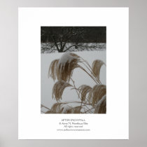 After Snowfall Posters