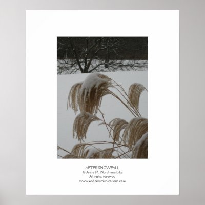 After Snowfall Posters by ANBCommunications