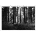 After the Rain B&W ACEO Artist Trading Cards business cards
