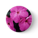After The Rain Button by SjStevenson After The Rain Button