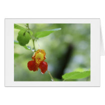 After the Rain cards by cheycobb After the Rain cards