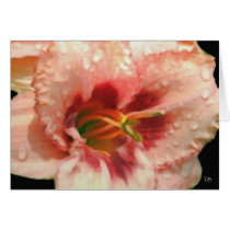 After The Rain Cards
