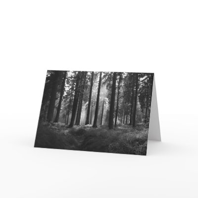 After the Rain • Greeting Card by SabineSt