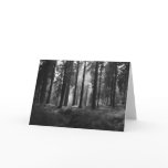 After the Rain • Greeting Card