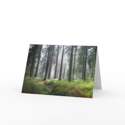 After the Rain • Greeting Card by SabineSt