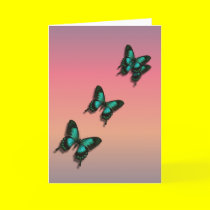 After the Rain - Greeting  Card cards