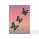 After the Rain - Greeting  Card