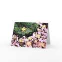 After the rain , greeting card