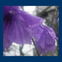 After The Rain II posters