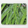 After the Rain Mouse Pads