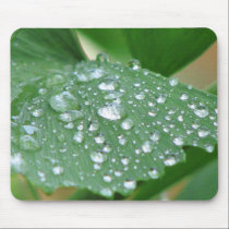 After the Rain mousepads