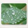 After the Rain Mouse Pads