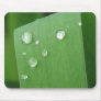 After the Rain Mouse Mats