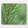 After the Rain Mouse Mat