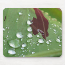 After the Rain mousepads