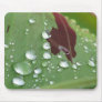 After the Rain Mouse Mats