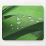 After the Rain Mouse Mats