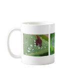 After the Rain Mugs